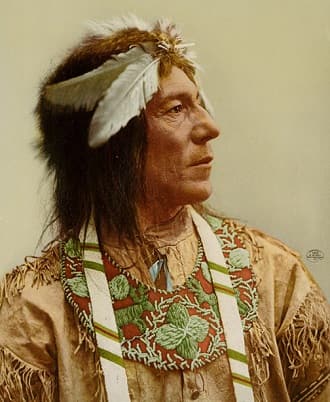 Chippewa Tribe Member
